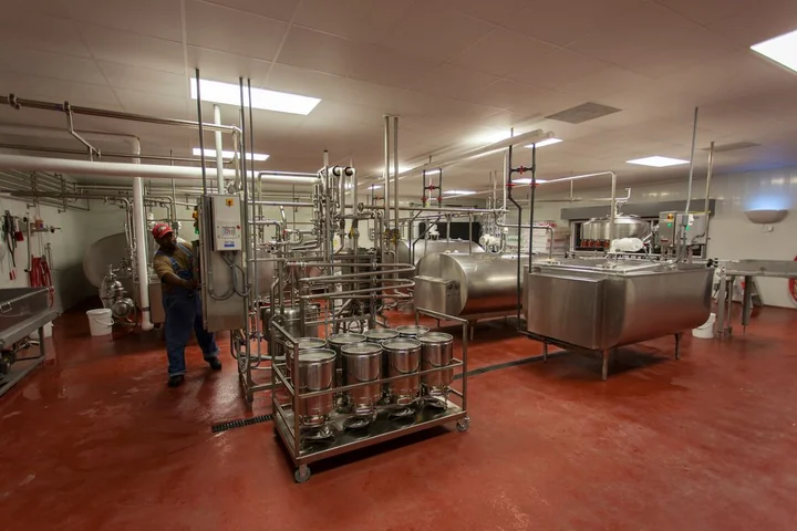 Mrożenie żywności - jak przygotować produkt do zamrożenia?