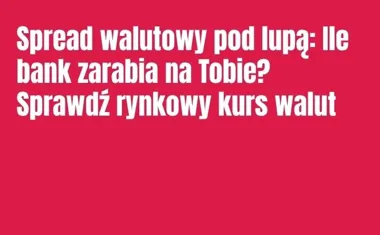 Obraz do artykułu: Spread walutowy pod lupą: Ile bank zarabia na Tobie? Sprawdź rynkowy kurs walut