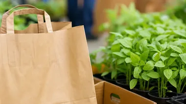 Uczniowie pokażą pomysły na produkty bez marnowania surowców w Chełmie