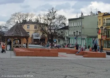 Jedna ankieta ma pokazać, gdzie gminy z powiatu chełmskiego potrzebują zdrowotnej korekty