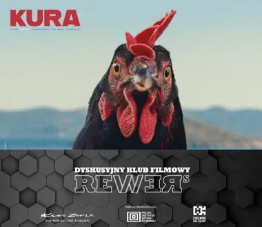 Czarna kura patrzy na ludzi z innej strony. DKF REWERS w Chełmie