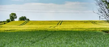 Rusza spis rolników w Chełmie. Sprawdź, czy musisz wypełnić formularz