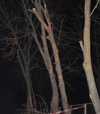 Rutynowa przycinka zamieniła się w tragedię przy dworcu w Rejowcu Fabrycznym