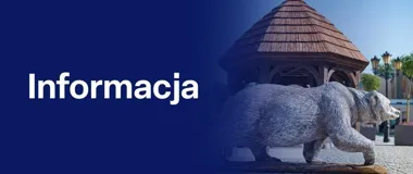 Jedno zdjęcie, trzy pytania. Tak mieszkańcy Chełma mogą sprawdzać internet